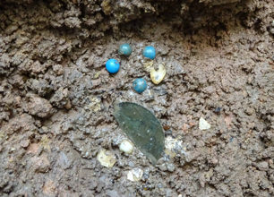 発掘されたロザリオの一部とガラス片
