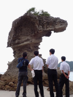 インターンシップの様子