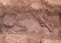 人骨全体の出土状況